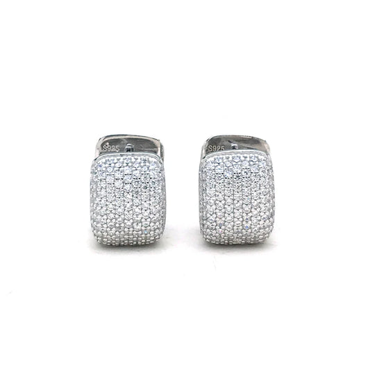 925 Silver Sterling Zircon Earrings for Women