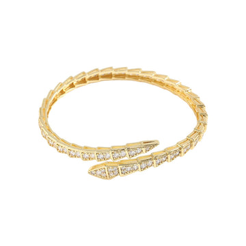 Snake Bone Open Bracelet
